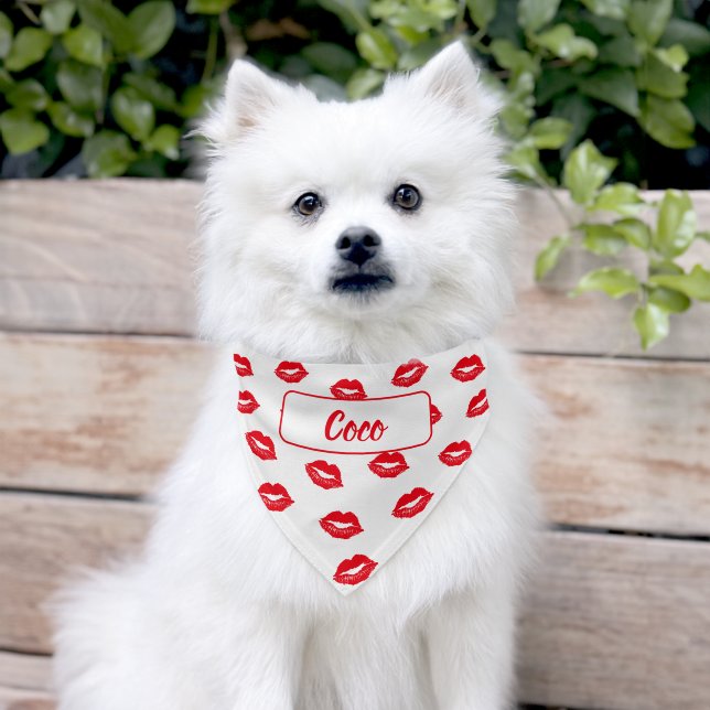 Red Lips Sassy Pet Bandana Collar (Dog)