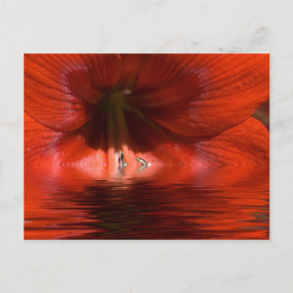 Red Liquid Postcard