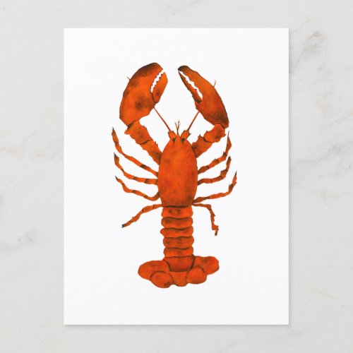 Red Lobster Postcard