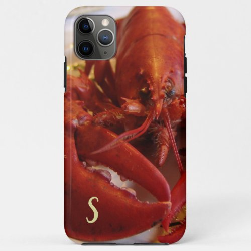 Red Lobster Seafood Crustacean iPhone  iPad case