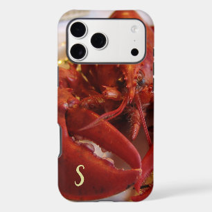 Red Lobster Seafood Crustacean iPhone / iPad case