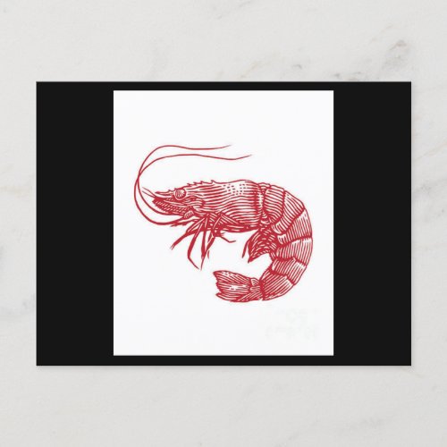 Red Lobster Shrimp Postcard