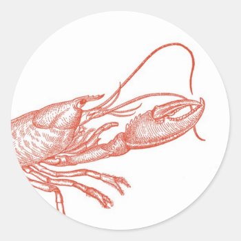 Red Lobster Sticker by designaline at Zazzle
