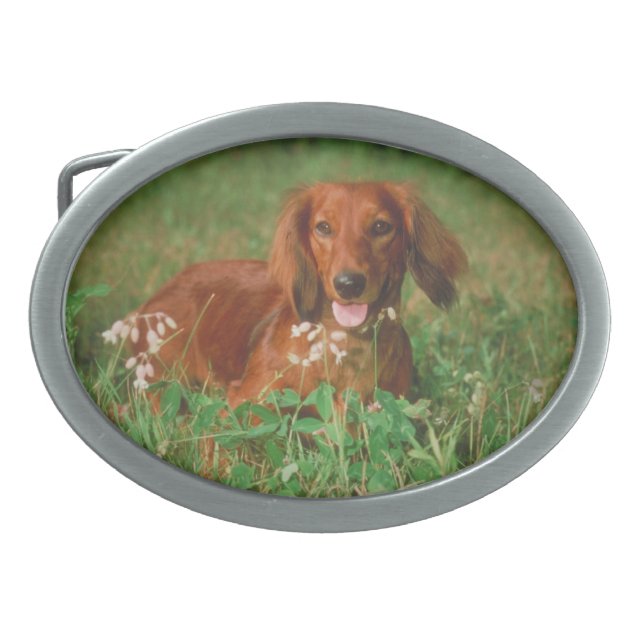 Red Long Haired Dachshund Dog Belt Buckle (Front)