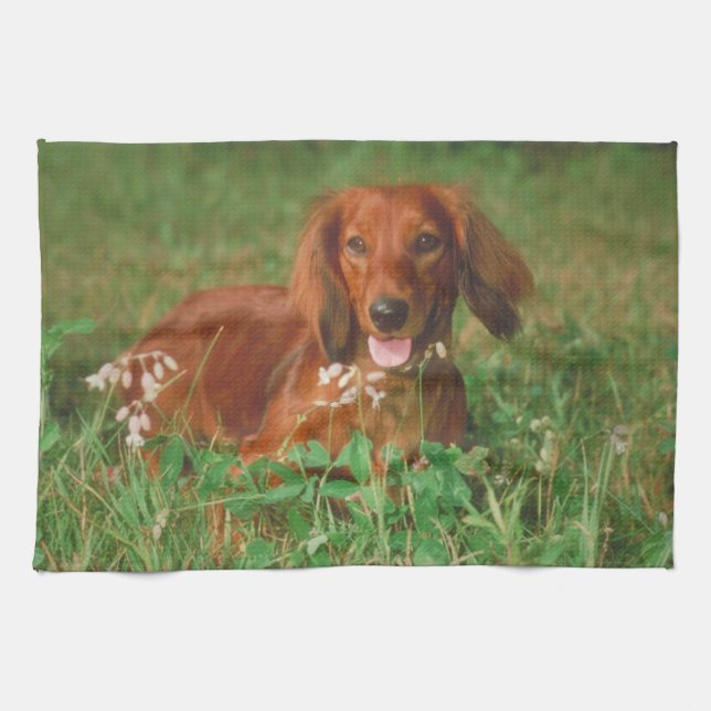 Red Long Haired Dachshund Dog Kitchen Towel (Horizontal)