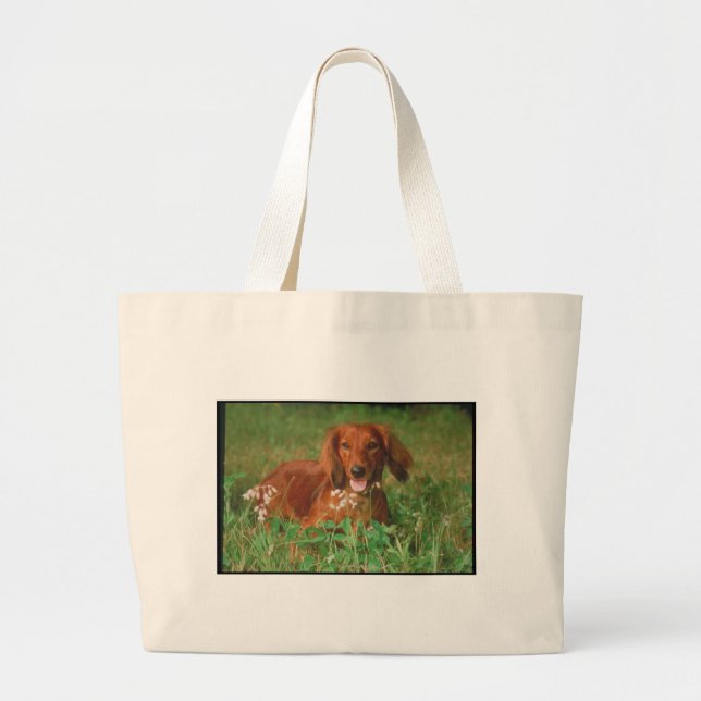 Red Long Haired Dachshund Large Tote Bag (Front)
