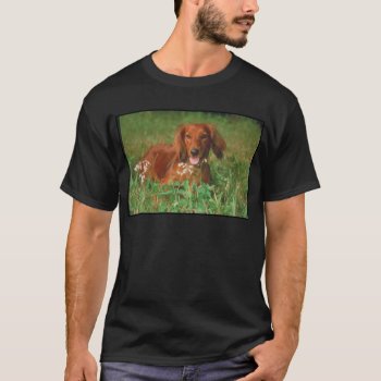 Red Long Haired Dachshund T-shirt by walkandbark at Zazzle