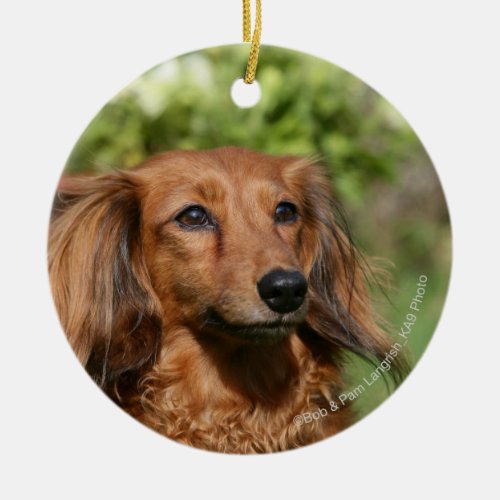 Red Long_haired Miniature Dachshund Ceramic Ornament