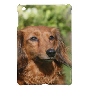 Long Hair Dachshund Electronics Tech Accessories Zazzle