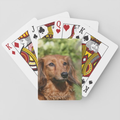 Red Long_haired Miniature Dachshund Playing Cards