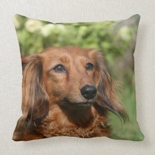 Red Long-haired Miniature Dachshund Throw Pillow