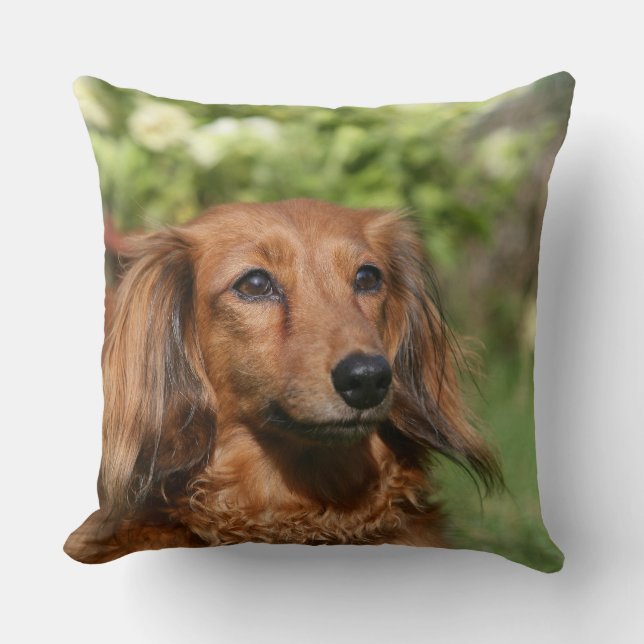 Red Long-haired Miniature Dachshund Throw Pillow (Front)
