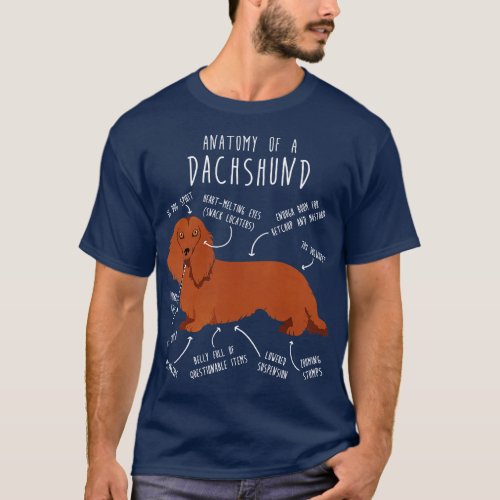 Red Longhaired Dachshund Dog Anatomy T_Shirt