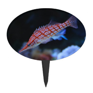 Red Longnose Hawkfish Cake Topper
