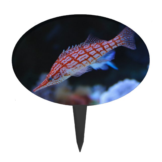 Red Longnose Hawkfish Cake Topper (Front)