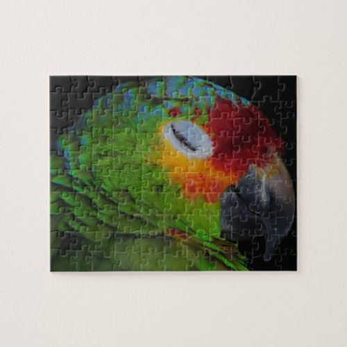 Red Lored Amazon Bird Winking Puzzle