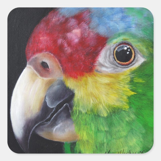 Red Lored Amazon Parrot Sticker (Front)