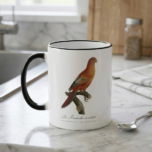 Red Lory or Eos Bornea, Trichoglossus borneus Color Morph Mug