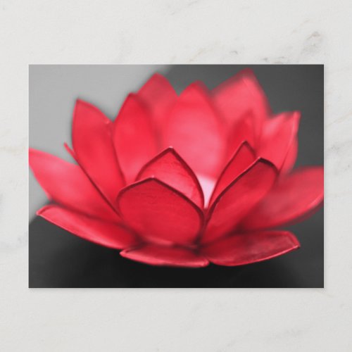 Red Lotus Postcard