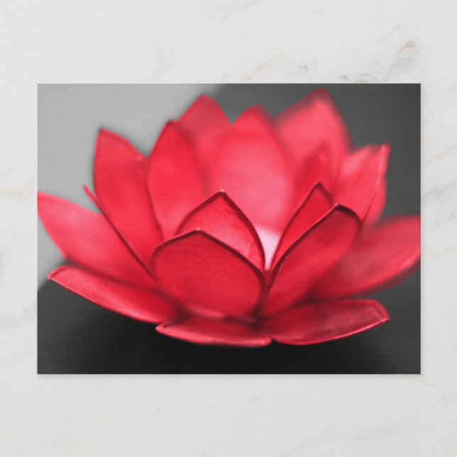 Red Lotus Postcard (Front)