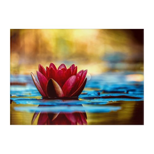 Red Lotus Water Lily Flower Acrylic Print