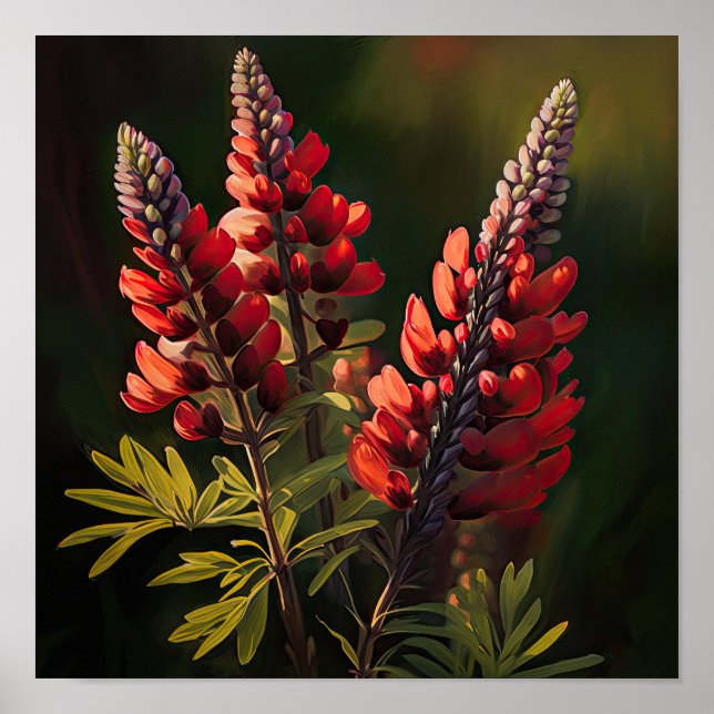Red Lupine Flower Art Print Poster (Front)
