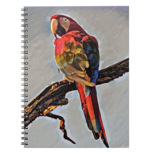 Red macaw 1 notebook