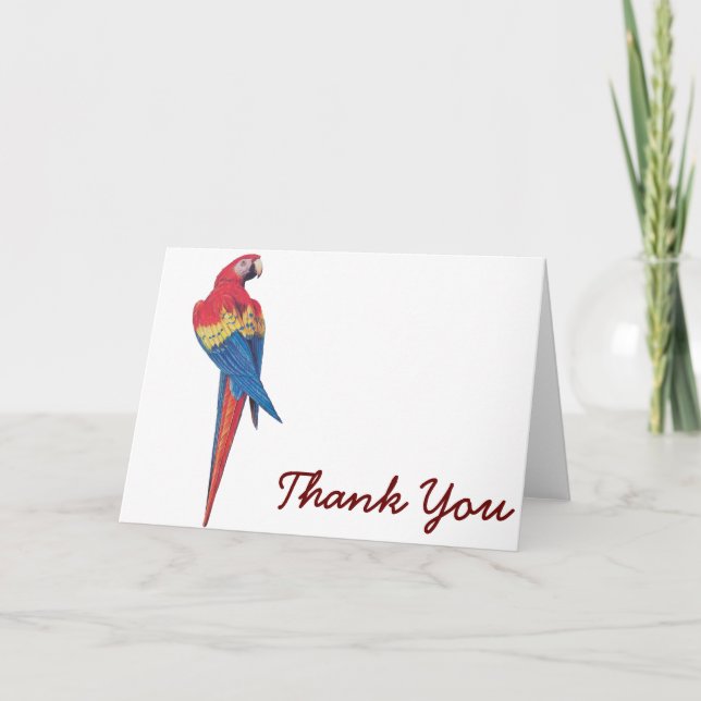 Red Macaw Letterpress Thank You Card (Front)