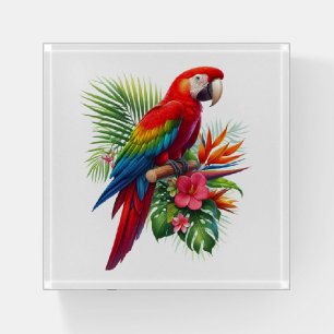 Red macaw tropical floral paperweight