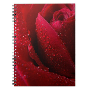 Red Macro Rose with Water Droplets Notebook