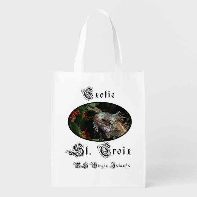 Red Madras Plaid Iguana Pet St. Croix USVI Grocery Bag (Front)