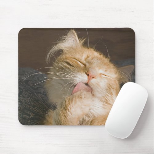 Red Maine Coon Cat Close_Up Photograph Mouse Pad