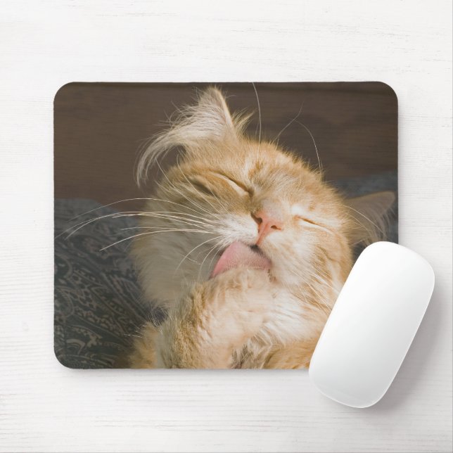 Red Maine Coon Cat Close-Up Photograph Mouse Pad (With Mouse)
