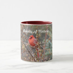 Red Male Cardinal Mug