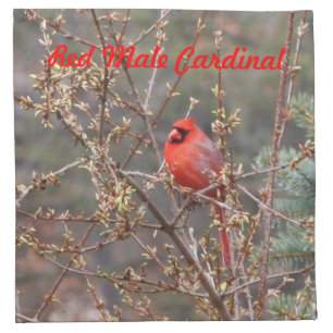 Red Male Cardinal on Hedges Cloth Napkins Set of 4
