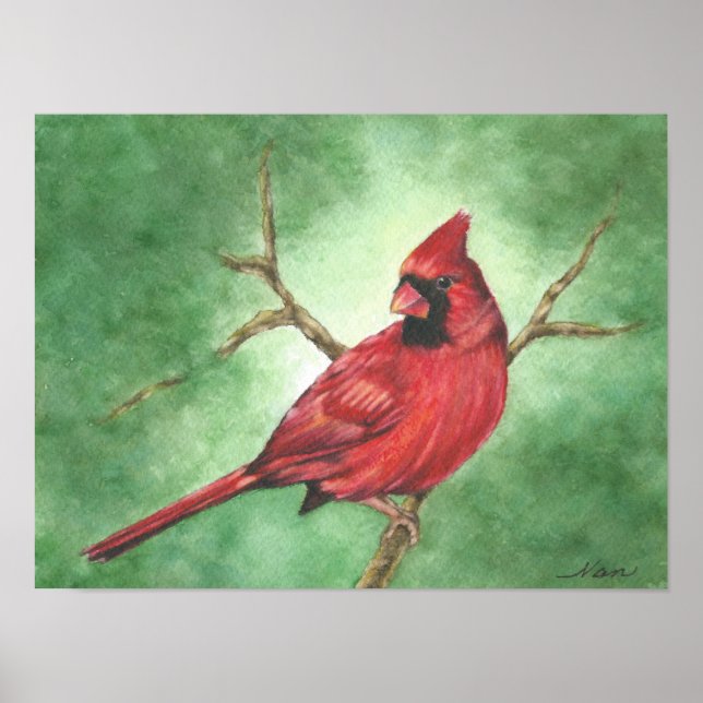 Red Male Cardinal Poster (Front)