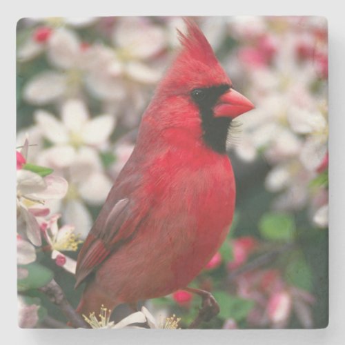 Red Male Cardinal Stone Coaster