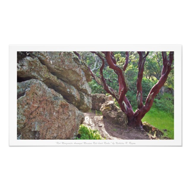 "Red Manzanita Amongst Massive Red-hued Rocks," Photo Print (Front)