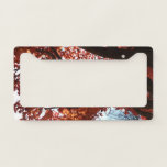 Red Maple Branches Autumn Colors License Plate Frame