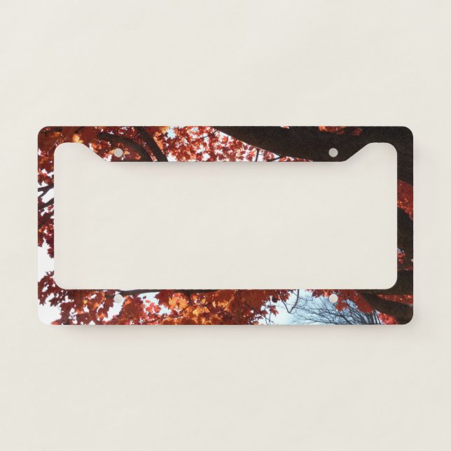 Red Maple Branches Autumn Colors License Plate Frame (Front)