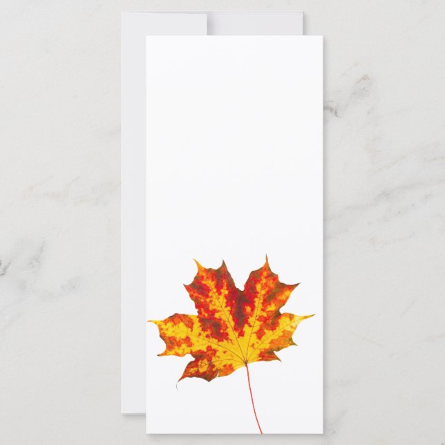 Red maple leaf (Front)