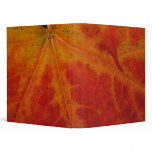 Red Maple Leaf Abstract Autumn Nature Photography 3 Ring Binder