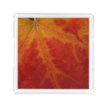 Red Maple Leaf Abstract Autumn Nature Photography Acrylic Tray