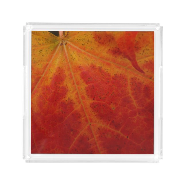 Red Maple Leaf Abstract Autumn Nature Photography Acrylic Tray (Front)