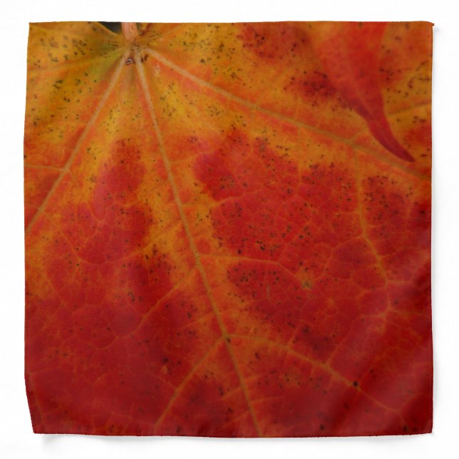 Red Maple Leaf Abstract Autumn Nature Photography Bandana (Front)