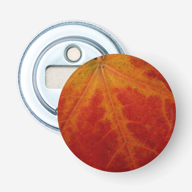 Red Maple Leaf Abstract Autumn Nature Photography Bottle Opener (Front)