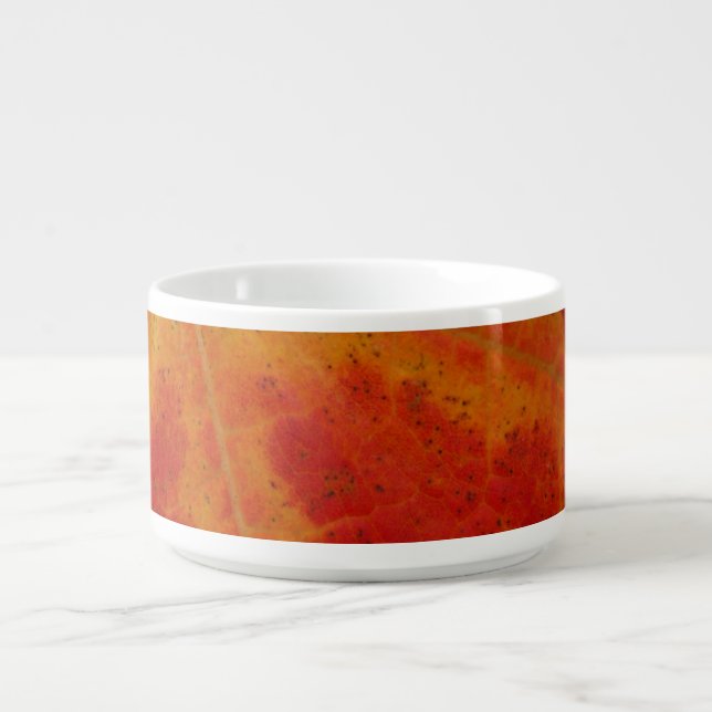 Red Maple Leaf Abstract Autumn Nature Photography Bowl (Center)