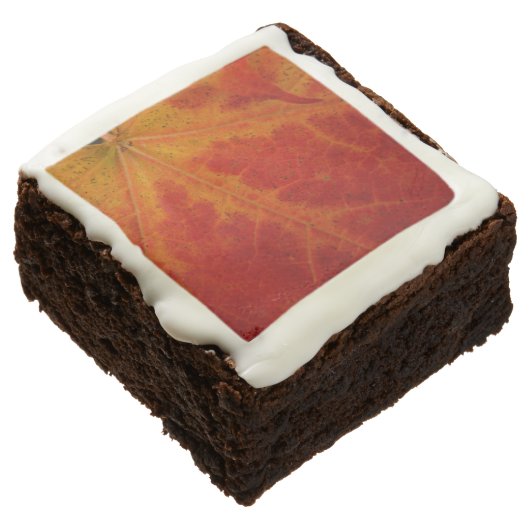 Red Maple Leaf Abstract Autumn Nature Photography Brownie (Angled)