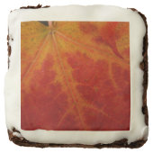 Red Maple Leaf Abstract Autumn Nature Photography Brownie (Front)