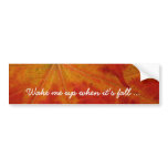 Red Maple Leaf Abstract Autumn Nature Photography Bumper Sticker